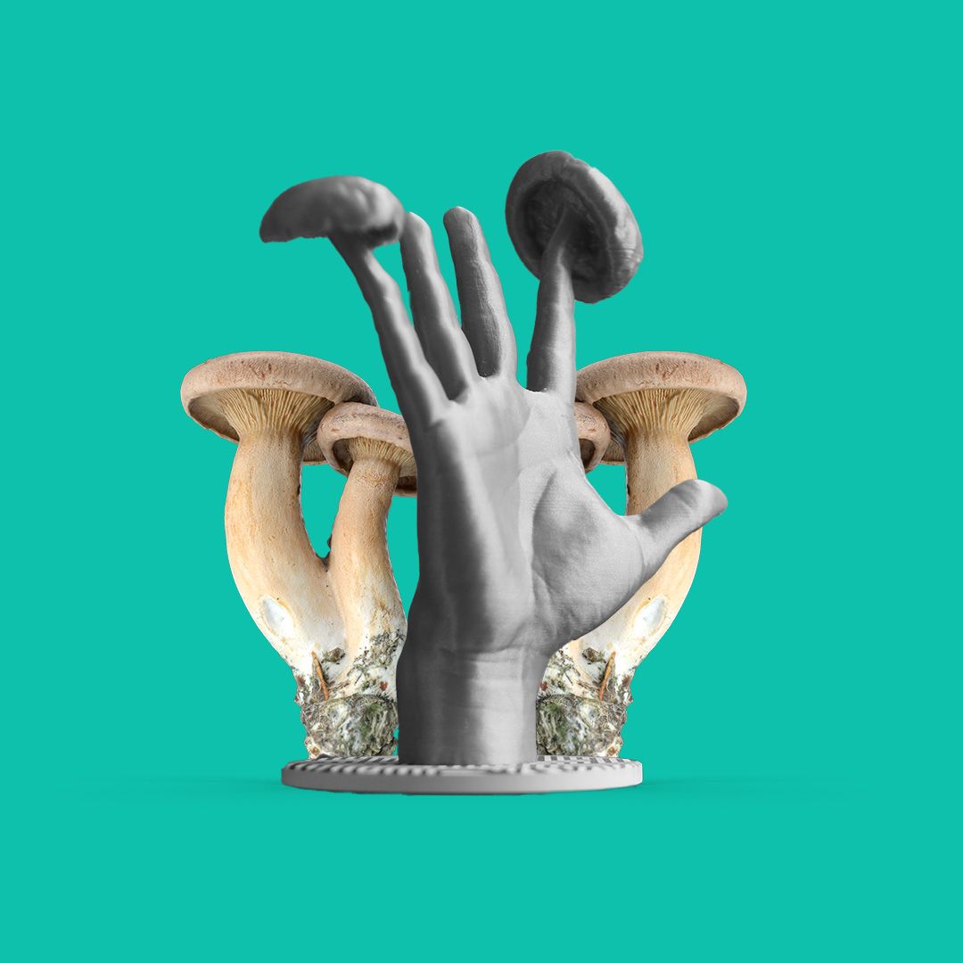 Surrealist sculpture of 2 mushrooms merged onto a hand.