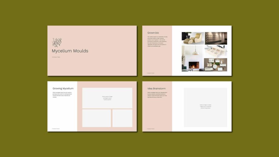 4 example portfolio template slides from PrintLab's mycelium moulds project.