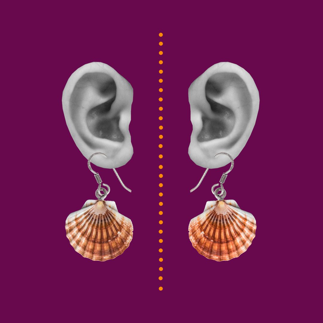 Cutout of an ear wearing a shell earring.